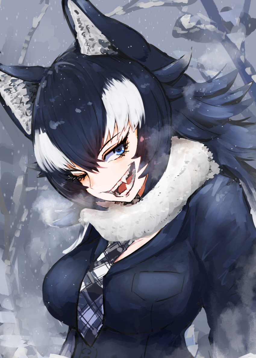1girl, adeshi_(adeshi0693119), animal_ears, arms_at_sides, bangs, black_hair, blue_eyes, breast_pocket, breasts, breath, day, eyelashes, fangs, fur_collar, grey_wolf_(kemono_friends), hair_between_eyes, highres, jacket, kemono_friends, large_breasts, long_hair, long_sleeves, looking_at_viewer, multicolored_hair, necktie, one_eye_closed, open_mouth, outdoors, plaid_neckwear, pocket, smile, snow, solo, teeth, two-tone_hair, upper_body, white_hair, wolf_ears, wolf_girl