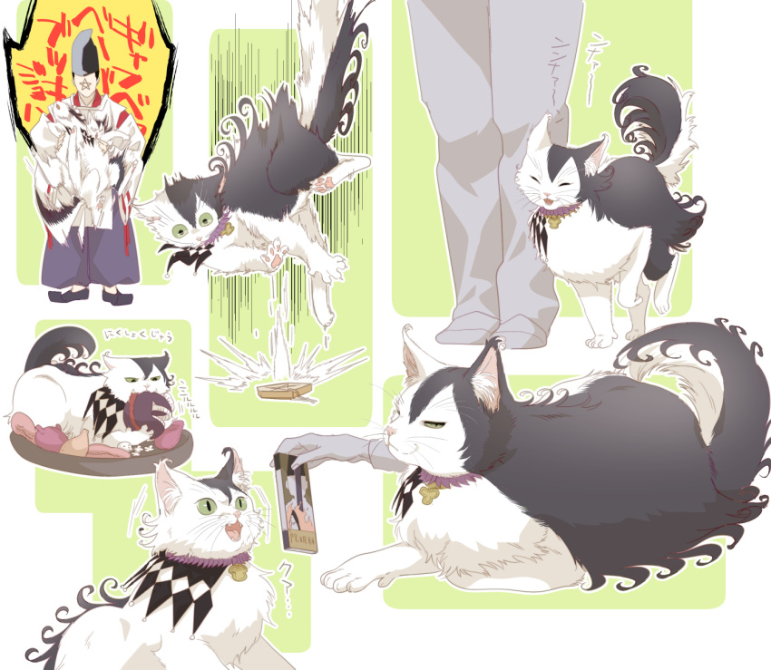 1boy, abe_no_seimei_(fate), animal_focus, animalization, ashiya_douman_(fate), bell, bell_collar, black_eyes