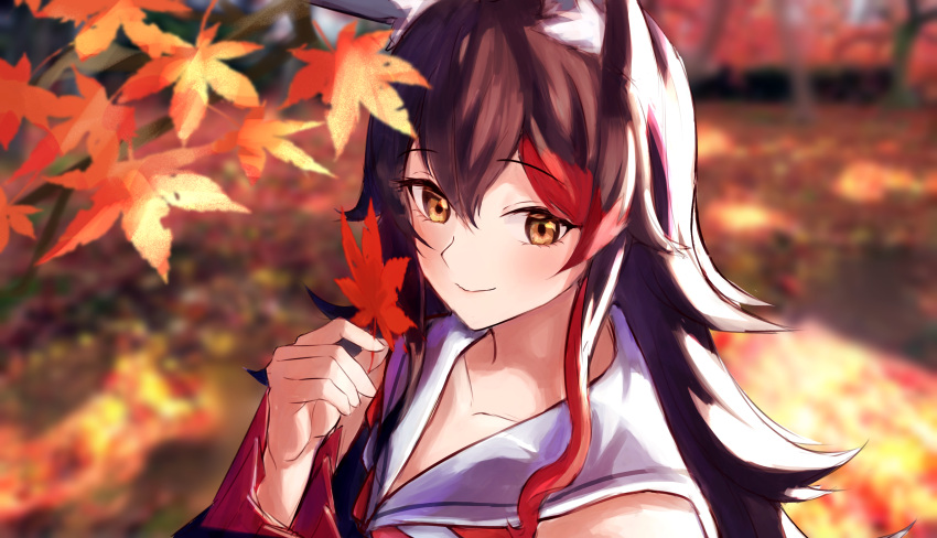 1girl, absurdres, animal_ear_fluff, animal_ears, autumn_leaves, black_hair, blurry, blurry_background