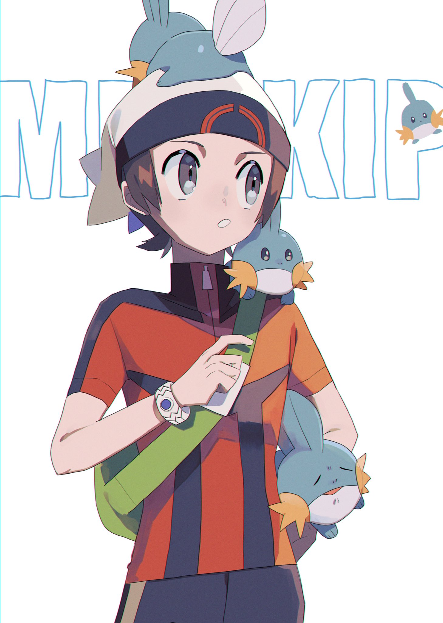 1boy, beanie, brendan_(pokemon), brown_hair, character_name, gen_3_pokemon, green_bag, grey_eyes