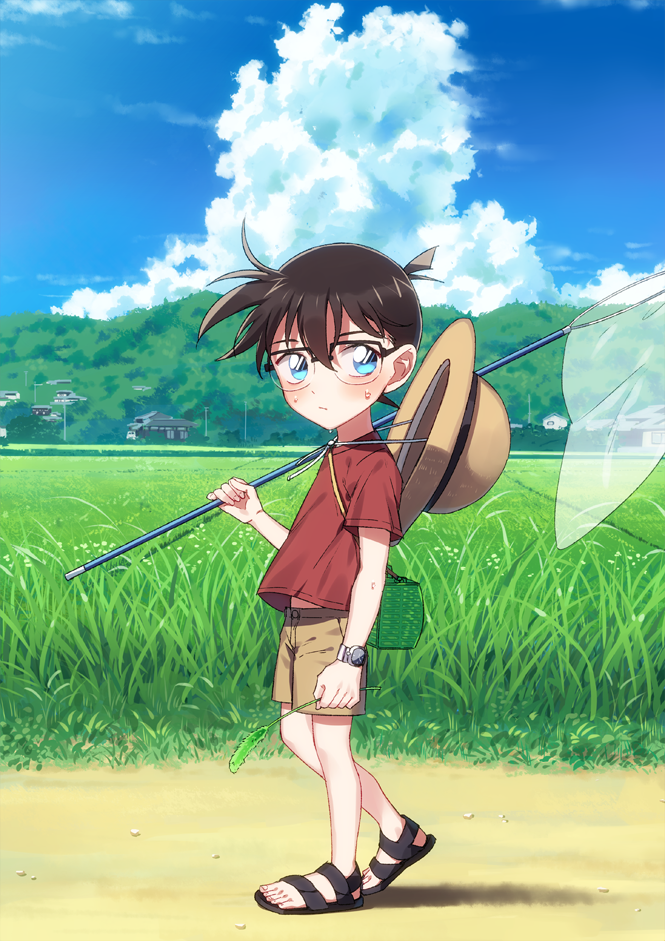 1boy, bangs, blue_eyes, blue_sky, blush, butterfly_net, casual, child