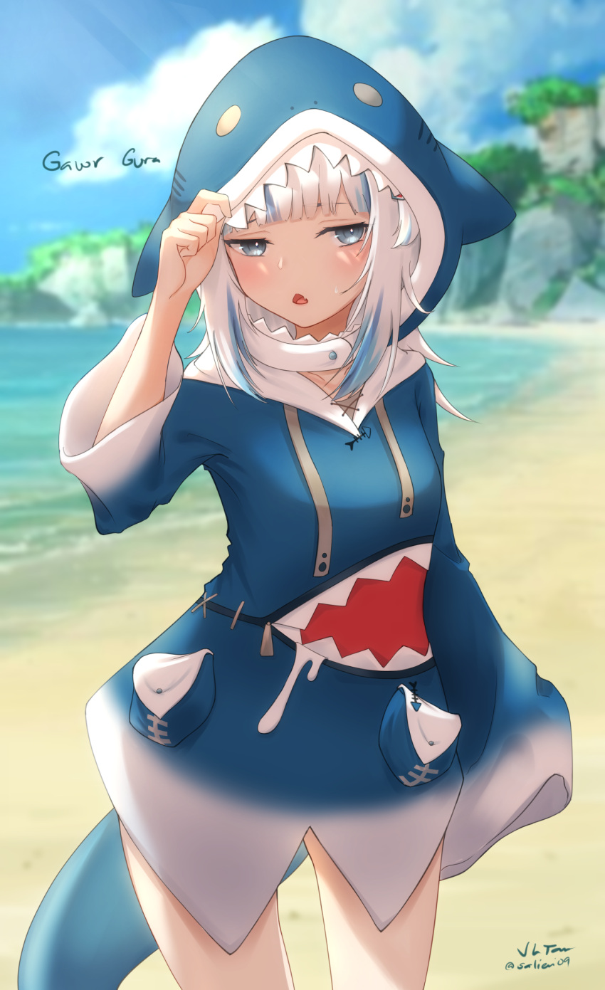 1girl, bangs, beach, blue_eyes, blue_hoodie, blunt_bangs, blurry, blurry_background
