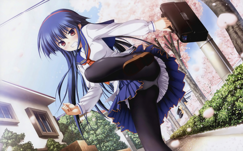 aizawa_nadeshiko, bag, cherry_blossoms, hairband, haruiro_ouse, highres, long_hair, panties, panties_under_pantyhose, pantyhose, pantyshot, purple_hair, purple_software, red_eyes, sakura_blossoms, school_bag, school_uniform, schoolbag, tsukimori_hiro, underwear, upskirt