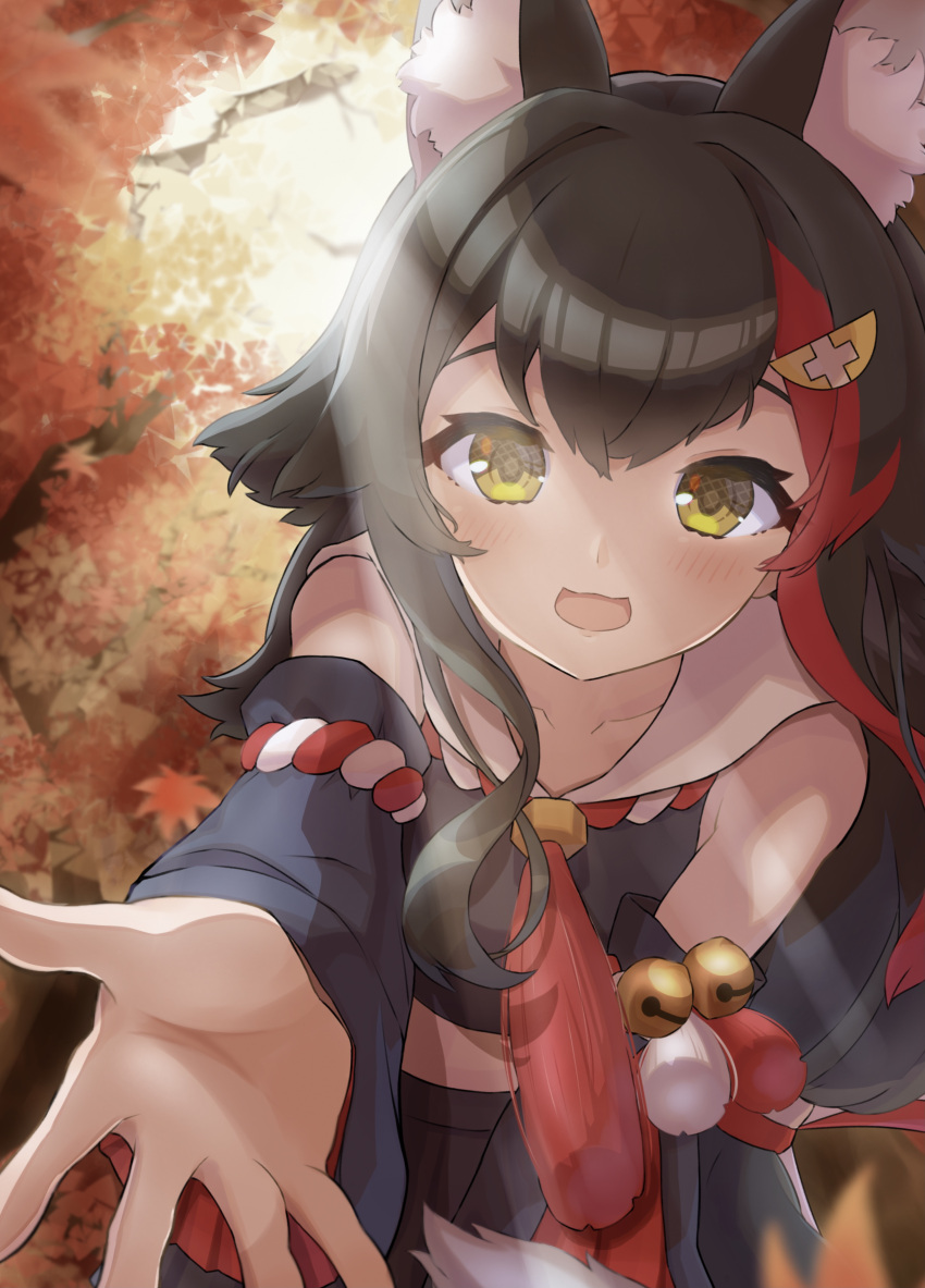 1girl, absurdres, animal_ear_fluff, animal_ears, autumn_leaves, bell, bent_over, black_hair, black_shirt, black_skirt, blush, commentary, cowboy_shot, detached_sleeves, gorirasaru440, highres, hololive, kouhaku_nawa, leaf, leaning_forward, light_rays, long_hair, looking_at_viewer, maple_leaf, midriff, miniskirt, multicolored_hair, ookami_mio, open_mouth, outstretched_hand, pleated_skirt, pov, reaching_out, redhead, shirt, skirt, smile, solo, streaked_hair, sunlight, tassel, two-tone_hair, virtual_youtuber, wolf_ears, yellow_eyes