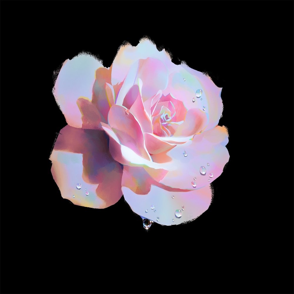 black_background, dew_drop, flower, glint, jpeg_artifacts, kun333r, making-of_available, no_humans