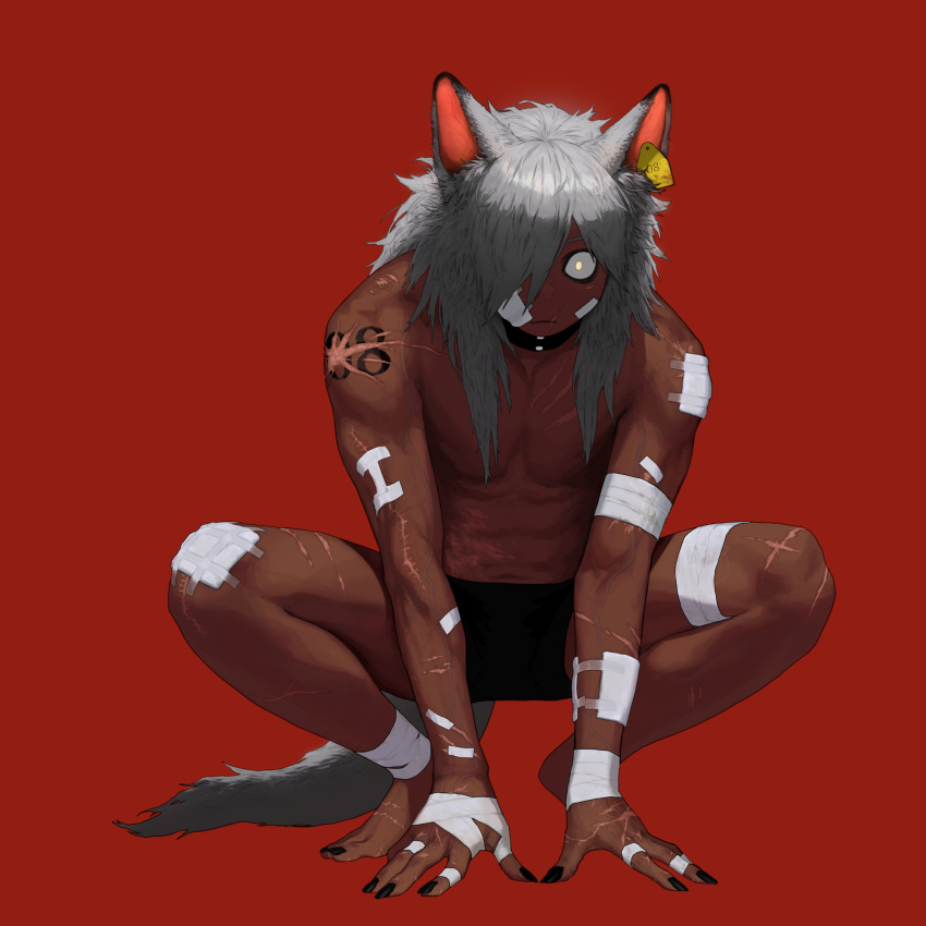 1boy, all_fours, animal_ear_fluff, animal_ears, bandaged_arm, bandaged_hands, bandaged_leg, bandages