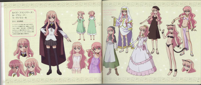absurdres, character_profile, character_sheet, crease, highres, huge_filesize, louise_francoise_le_blanc_de_la_valliere, non-web_source, official_art, scan, scan_artifacts, screening, webp-to-jpg_conversion, zero_no_tsukaima