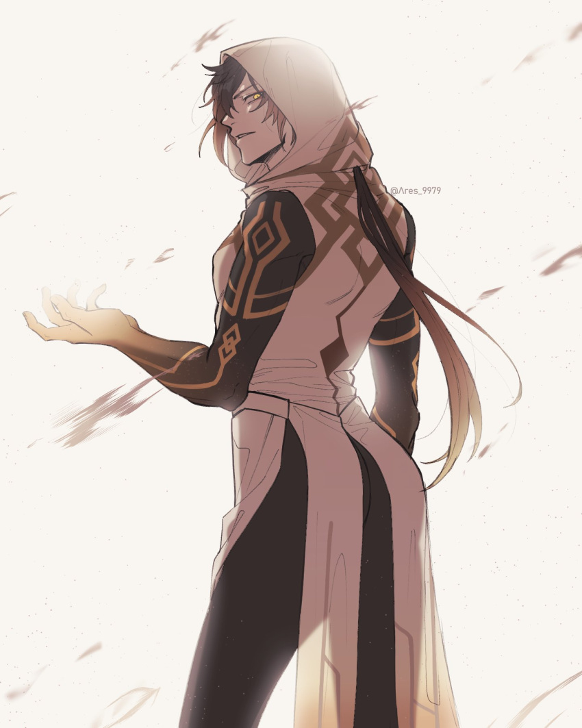 1boy, ares_9979, bangs, black_hair, brown_hair, cloak, from_behind, genshin_impact