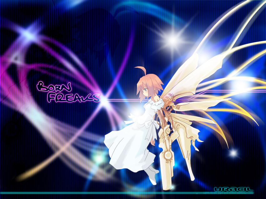 born_freaks, tagme, techgirl, uracil, wings