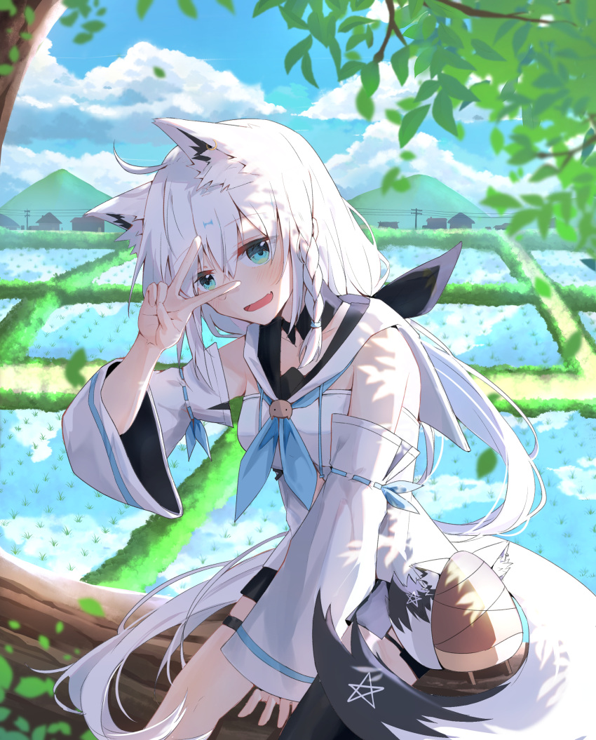 1girl, absurdres, ahoge, animal_ear_fluff, animal_ears, bamboo_shoot, black_legwear, black_shorts