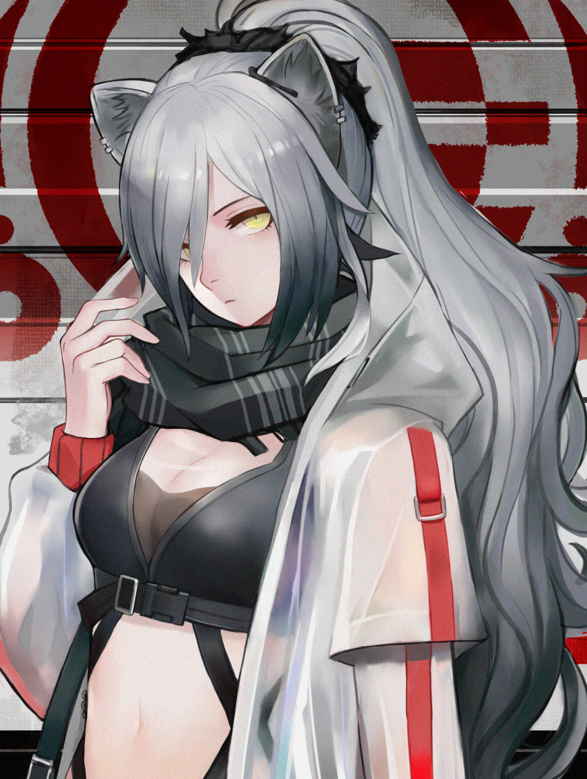 1girl, absurdres, animal_ears, arknights, bangs, black_scarf, breasts, cat_ears, commentary, crop_top, hair_over_one_eye, hand_up, highres, ichigatsuai, jacket, long_hair, long_sleeves, looking_at_viewer, medium_breasts, midriff, navel, open_clothes, open_jacket, scarf, schwarz_(arknights), silver_hair, solo, stomach, upper_body, white_jacket, yellow_eyes