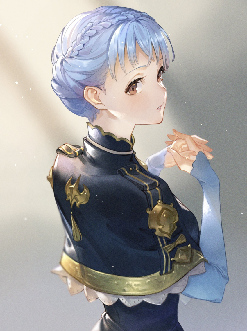1girl, back, blue_capelet, blue_dress, blue_hair, bomssp, braid, brown_eyes