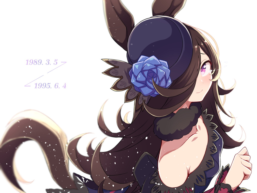 1girl, animal_ears, bare_shoulders, blush, breasts, brown_hair, hair_over_one_eye, hat
