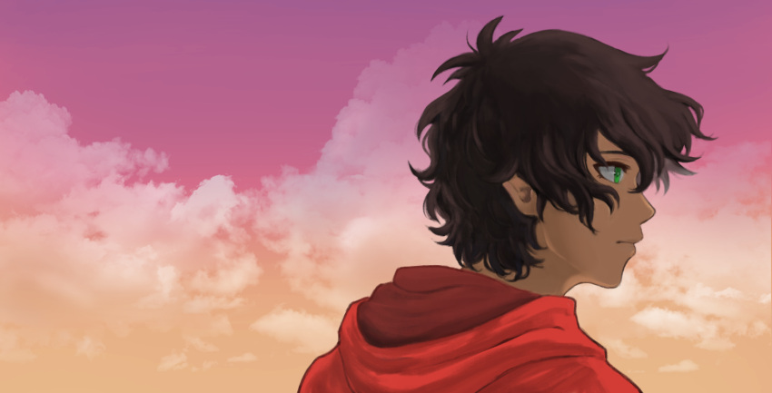 1boy, bangs, brown_hair, closed_mouth, clouds, cloudy_sky, expressionless, from_behind