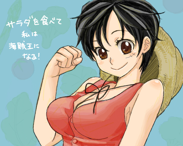 luffyko, monkey_d_luffy, nekochi, one_piece, scar, short_hair