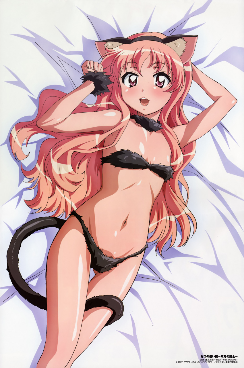 1girl, absurdres, animal_ears, bra, cat_ears, cat_lingerie, cat_tail, comp_h's, company_name, copyright_name, flat_chest, fujii_masahiro, highres, long_hair, louise_francoise_le_blanc_de_la_valliere, magazine_scan, meme_attire, official_art, panties, scan, solo, tail, underwear, underwear_only, zero_no_tsukaima
