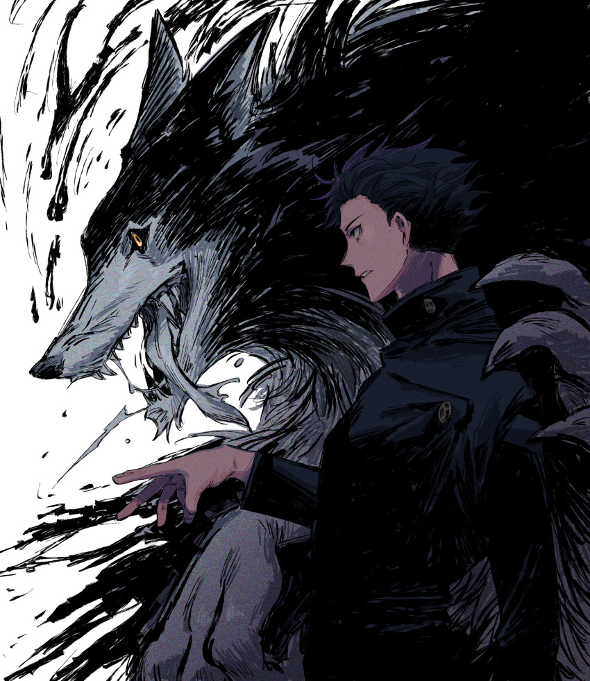 1boy, black_hair, black_jacket, buttons, claws, collared_shirt, from_side, fur, fushiguro_megumi, gojo_lover, hair_slicked_back, highres, jacket, jujutsu_kaisen, long_tongue, male_focus, monster, open_mouth, outstretched_hand, sharp_teeth, shirt, simple_background, teeth, tongue, tongue_out, uniform, upper_body, white_background, wolf, yellow_eyes