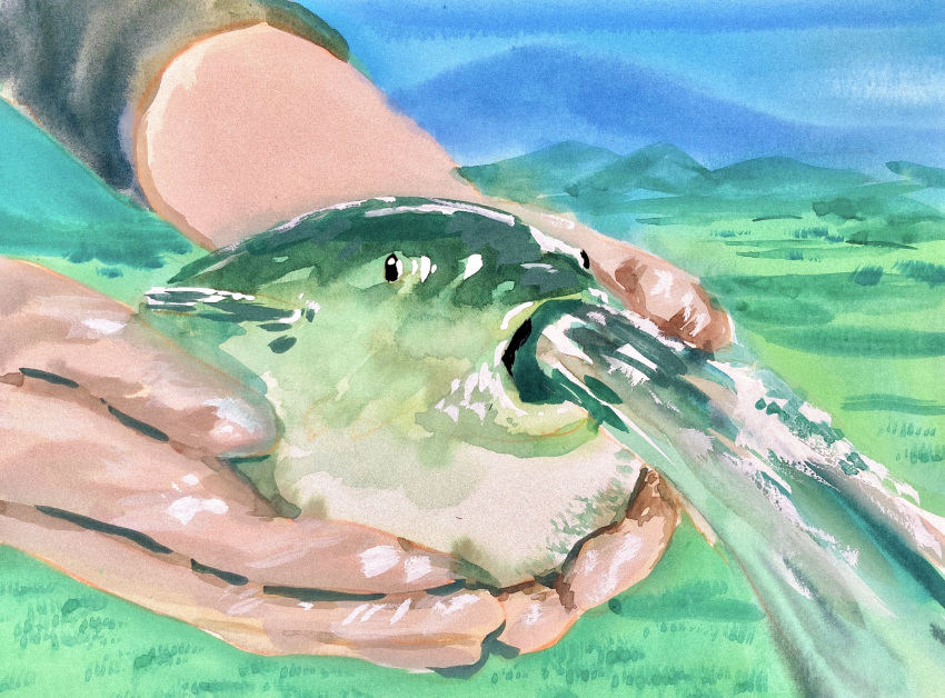 animal, animal_focus, fish, hands, highres, holding, holding_animal, holding_fish