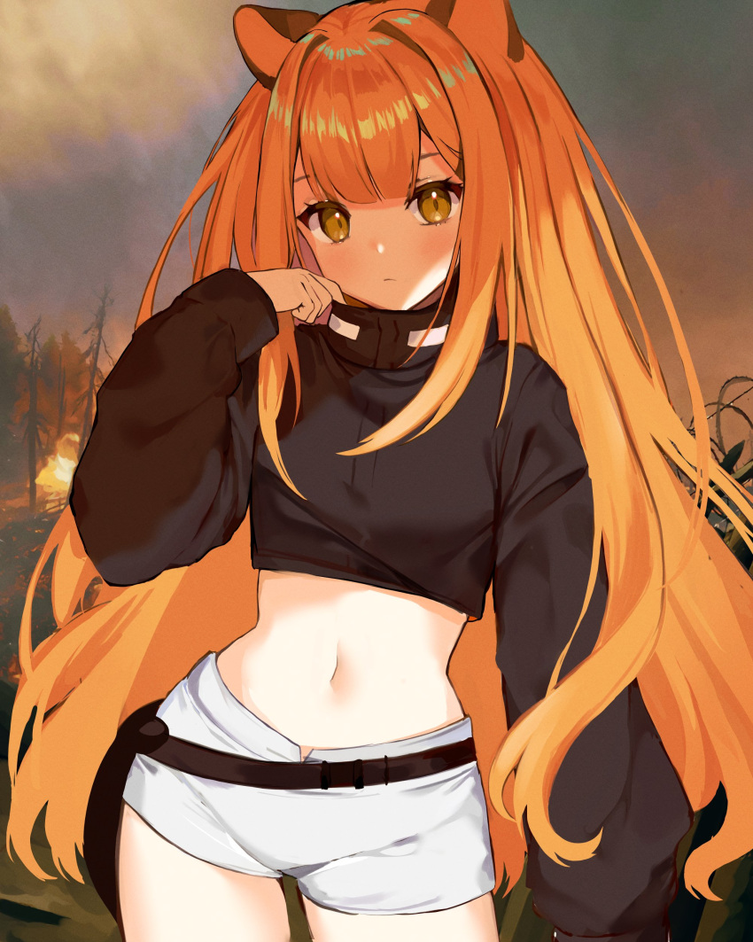 1girl, absurdres, animal_ears, bangs, black_jacket, brown_eyes, cropped_jacket, eyebrows_behind_hair