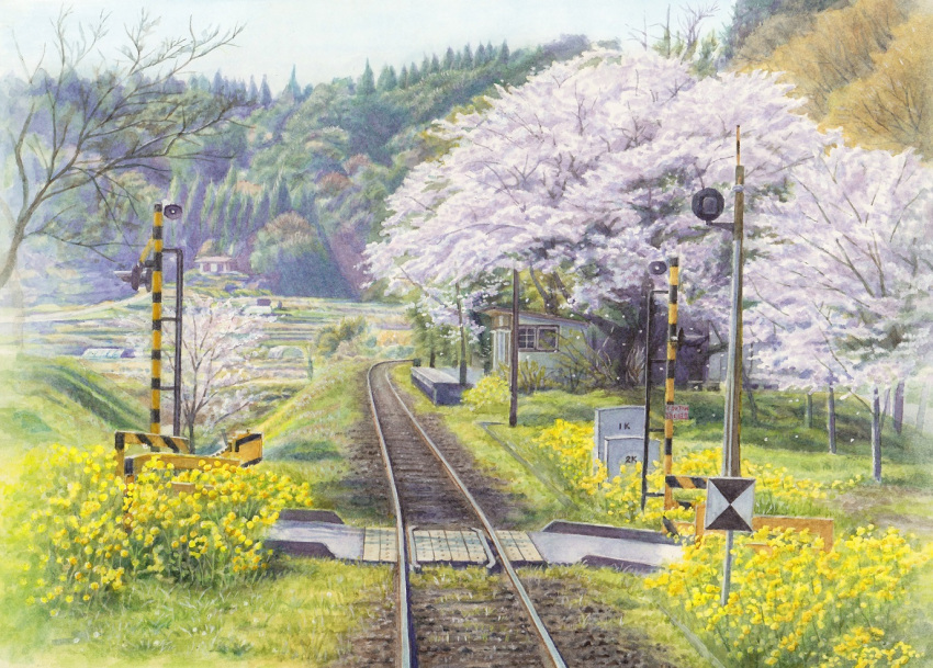 akashi_kaikyou, bare_tree, cherry_blossoms, commentary, flower, grass, greenhouse, hill