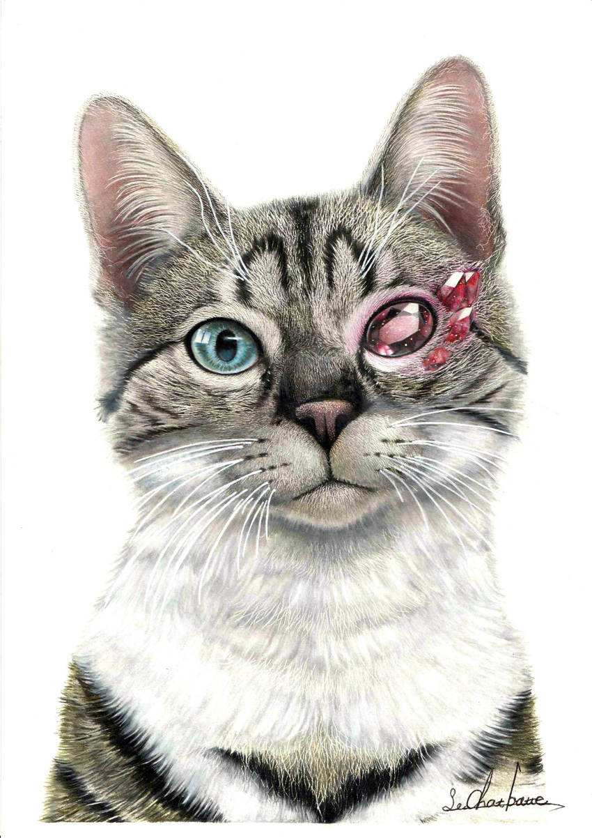 animal, animal_focus, cat, colored_pencil_(medium), crystal, erumo_0384, heterochromia, highres