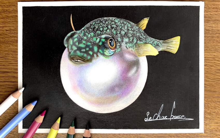 animal_focus, black_background, colored_pencil_(medium), erumo_0384, fish, highres, no_humans, original