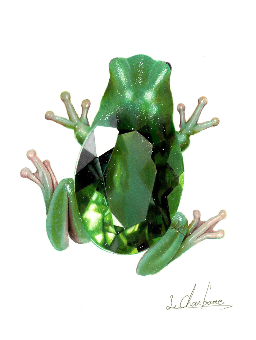 animal_focus, colored_pencil_(medium), crystal, emerald_(gemstone), erumo_0384, frog, from_above, highres