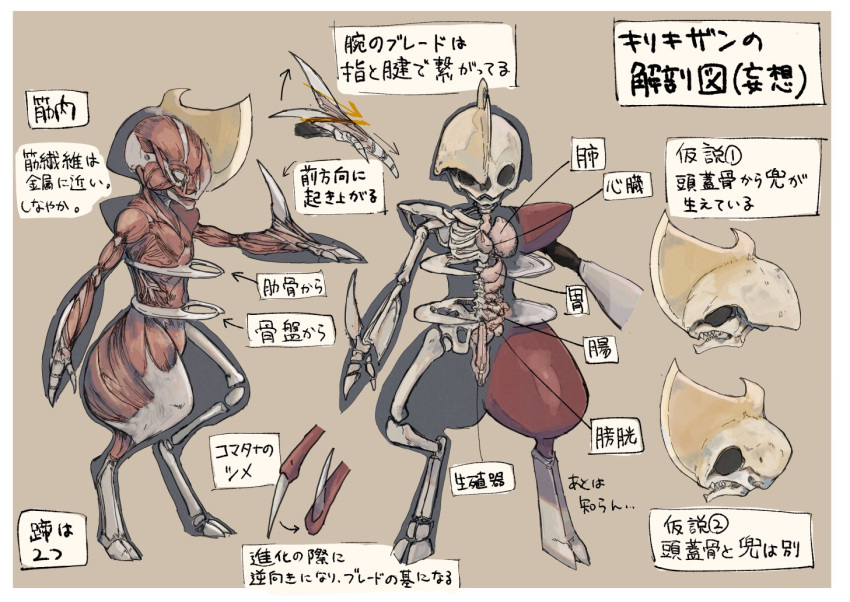 anatomy, arrow_(symbol), bisharp, bone, border, claws, commentary_request, gen_5_pokemon