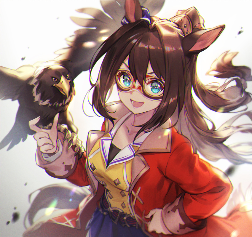 1girl, animal_ears, animal_on_arm, bird, bird_on_arm, blue_eyes, brown_hair, coat