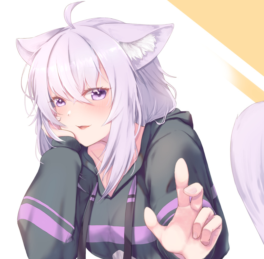 1girl, ahoge, animal_ears, bangs, black_hoodie, cat_ears, cat_girl, cat_tail