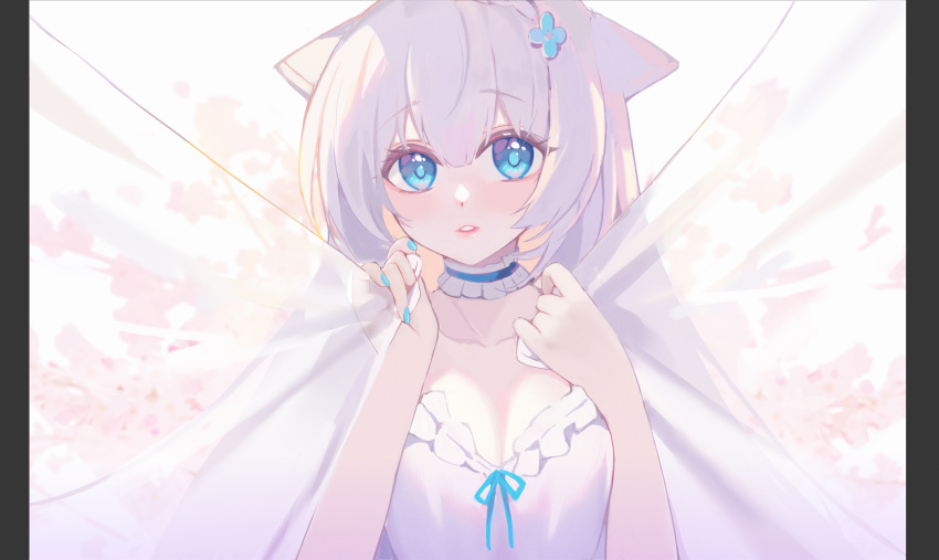 1girl, animal_ears, bangs, blue_choker, blue_eyes, blue_flower, blue_nails, blue_ribbon, choker, claxton_(warship_girls_r), collarbone, commentary_request, curtain_grab, curtains, dress, eyebrows_visible_through_hair, flower, frilled_choker, frills, hair_between_eyes, hair_flower, hair_ornament, hands_up, hasu_(velicia), highres, looking_at_viewer, nail_polish, official_art, parted_lips, pillarboxed, ribbon, silver_hair, solo, transparent, upper_body, warship_girls_r, white_dress