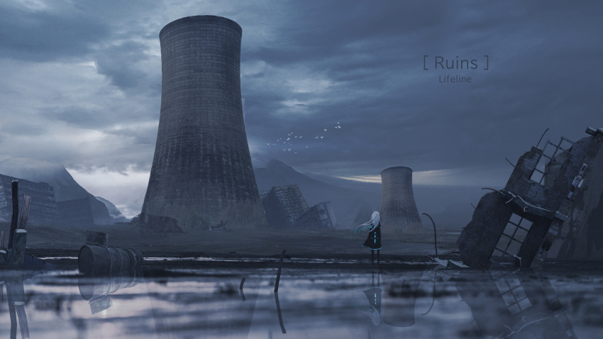 1girl, absurdres, animal, bird, clouds, cloudy_sky, commentary_request, facing_away