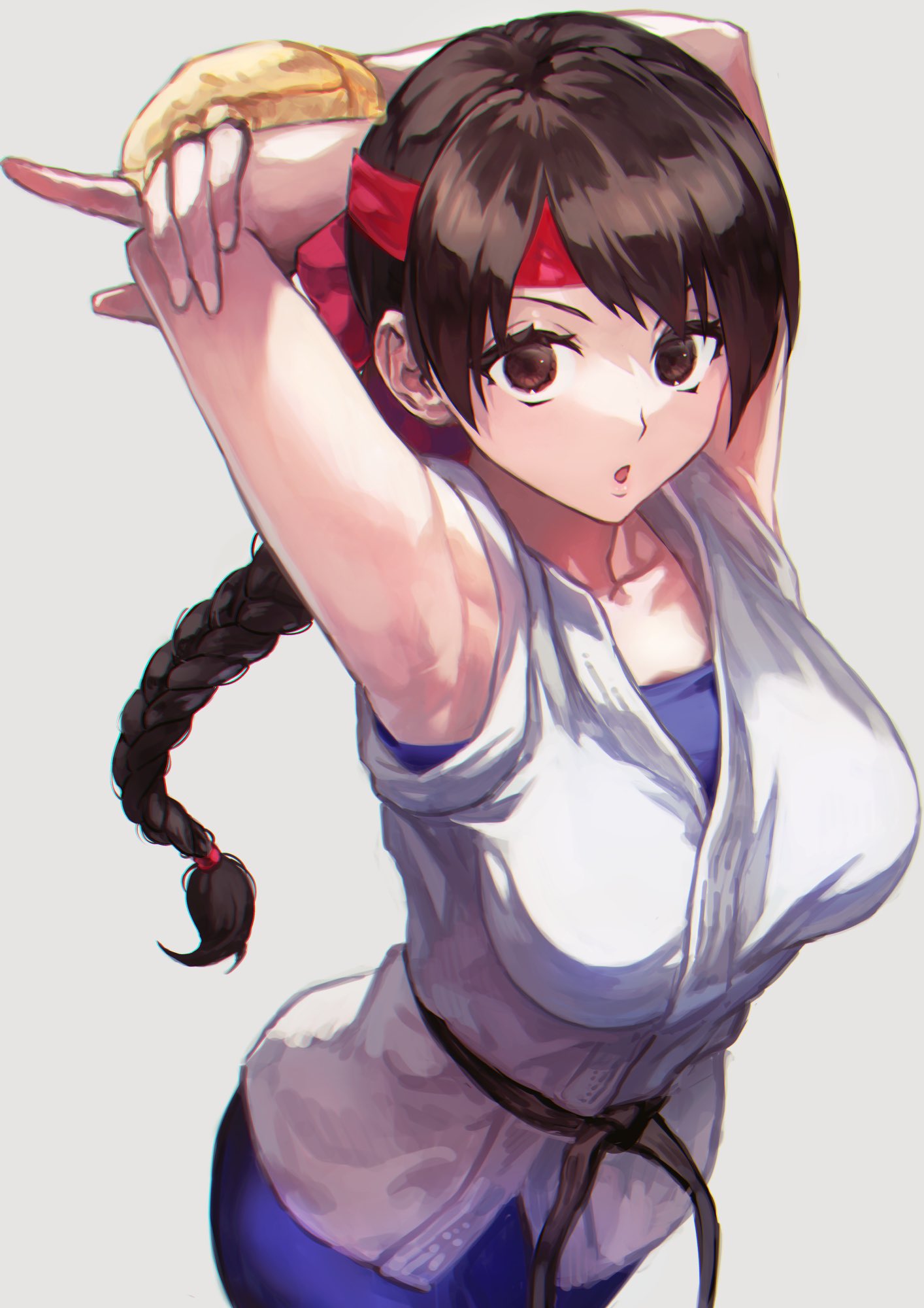 1girl, bangs, belt, black_belt, braid, braided_ponytail, breasts, brown_eyes