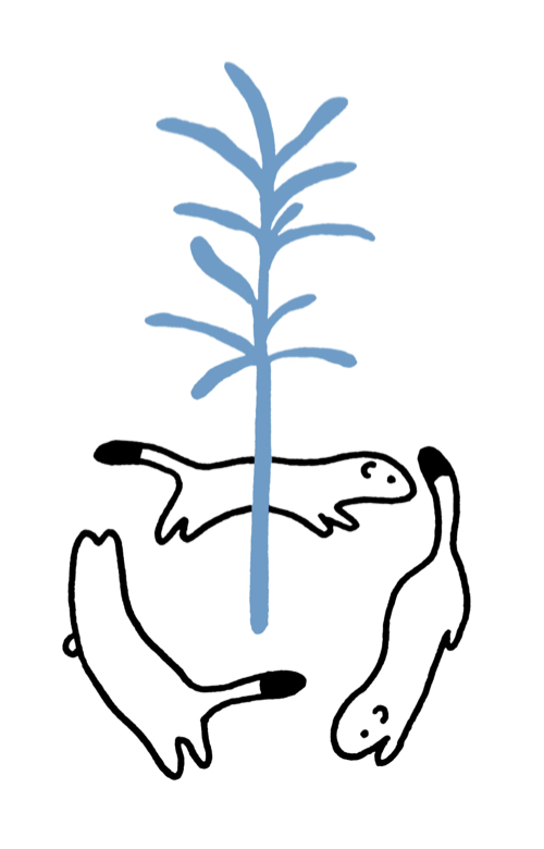 ._., animal, animal_focus, chasing, flat_color, from_behind, from_side, full_body