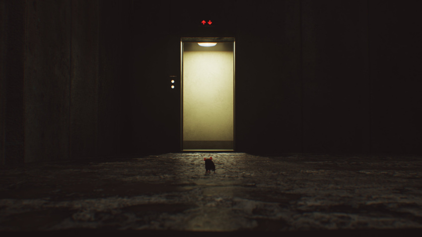 3d, absurdres, animal, arai-san_mansion, arrow_(symbol), backlighting, ceiling_light, dark