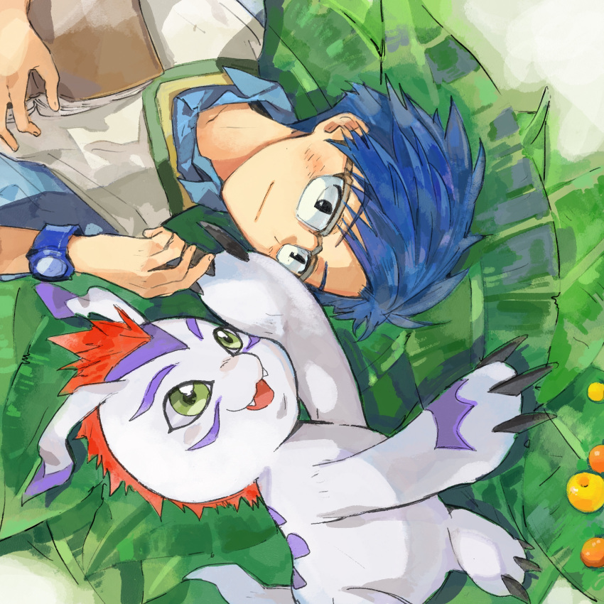 1boy, black_eyes, blue_hair, blush, digimon, digimon_(creature), digimon_adventure:, eye_contact, get3, glasses, gomamon, green_eyes, hand_up, highres, kido_jou, leaf, looking_at_another, lying, male_focus, on_back, open_mouth, outdoors, short_hair, watch, watch