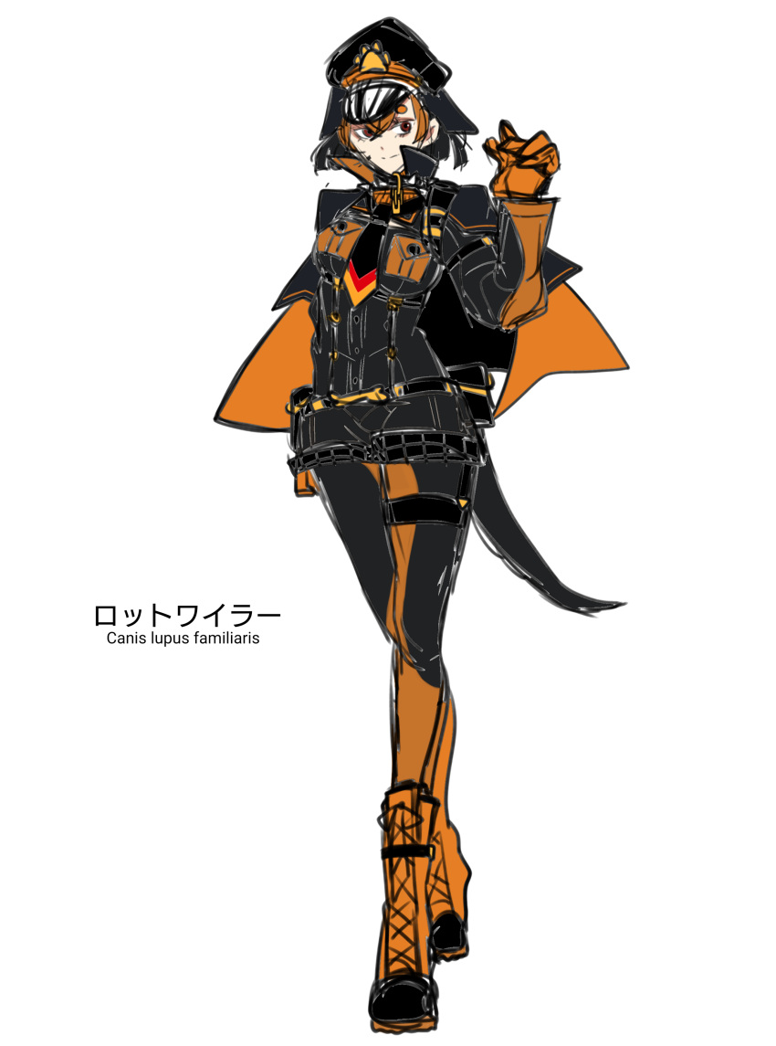 1girl, absurdres, animal_ears, boots, brown_eyes, brown_footwear, brown_hair, cape