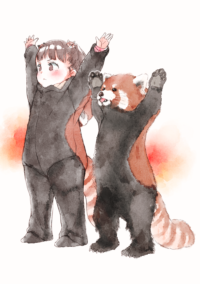 1girl, :<, animal, arms_up, blush, brown_background, brown_eyes, brown_hair, closed_mouth, commentary_request, gomennasai, hair_ornament, long_sleeves, looking_away, original, red_panda, red_panda_costume, red_panda_tail, sleeves_past_wrists, solo, standing, striped_tail, tail