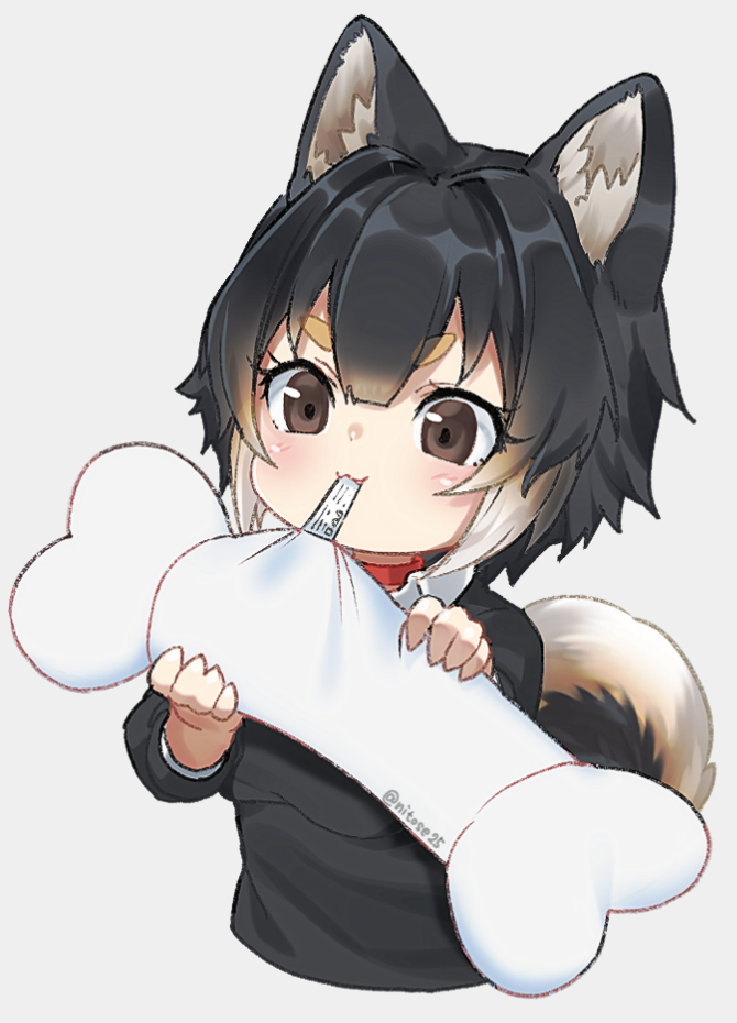 1girl, :3, animal_ear_fluff, animal_ears, biting, black_hair, black_shirt, brown_eyes, collar, cropped_torso, dog_ears, dog_girl, dog_tail, gradient_hair, grey_background, long_sleeves, multicolored_hair, nyifu, original, pillow_tag, red_collar, shirt, short_hair, simple_background, solo, stuffed_toy, tail, tugging, twitter_username, upper_body, white_hair