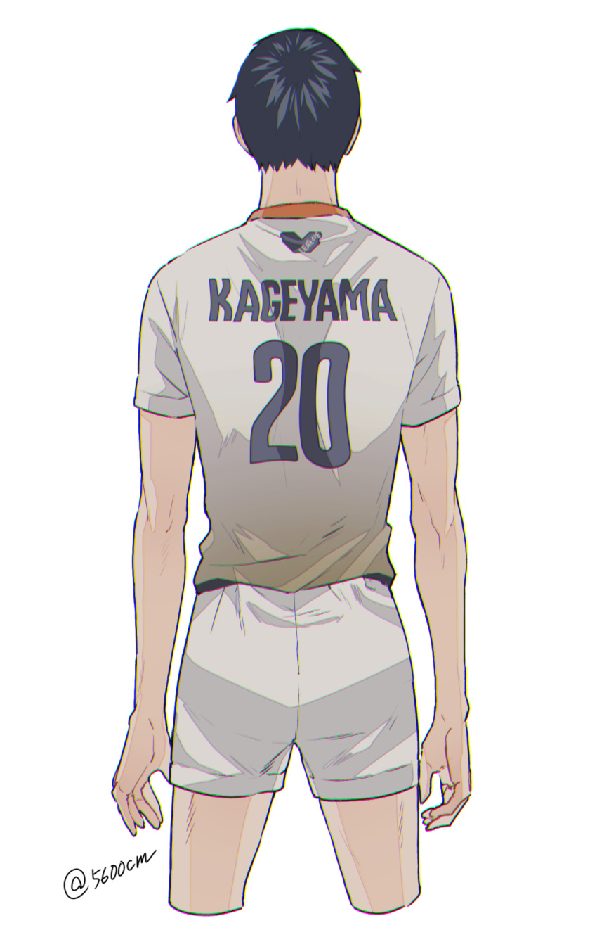 1boy, 5600cm, bangs, black_hair, from_behind, haikyuu!!, highres, kageyama_tobio