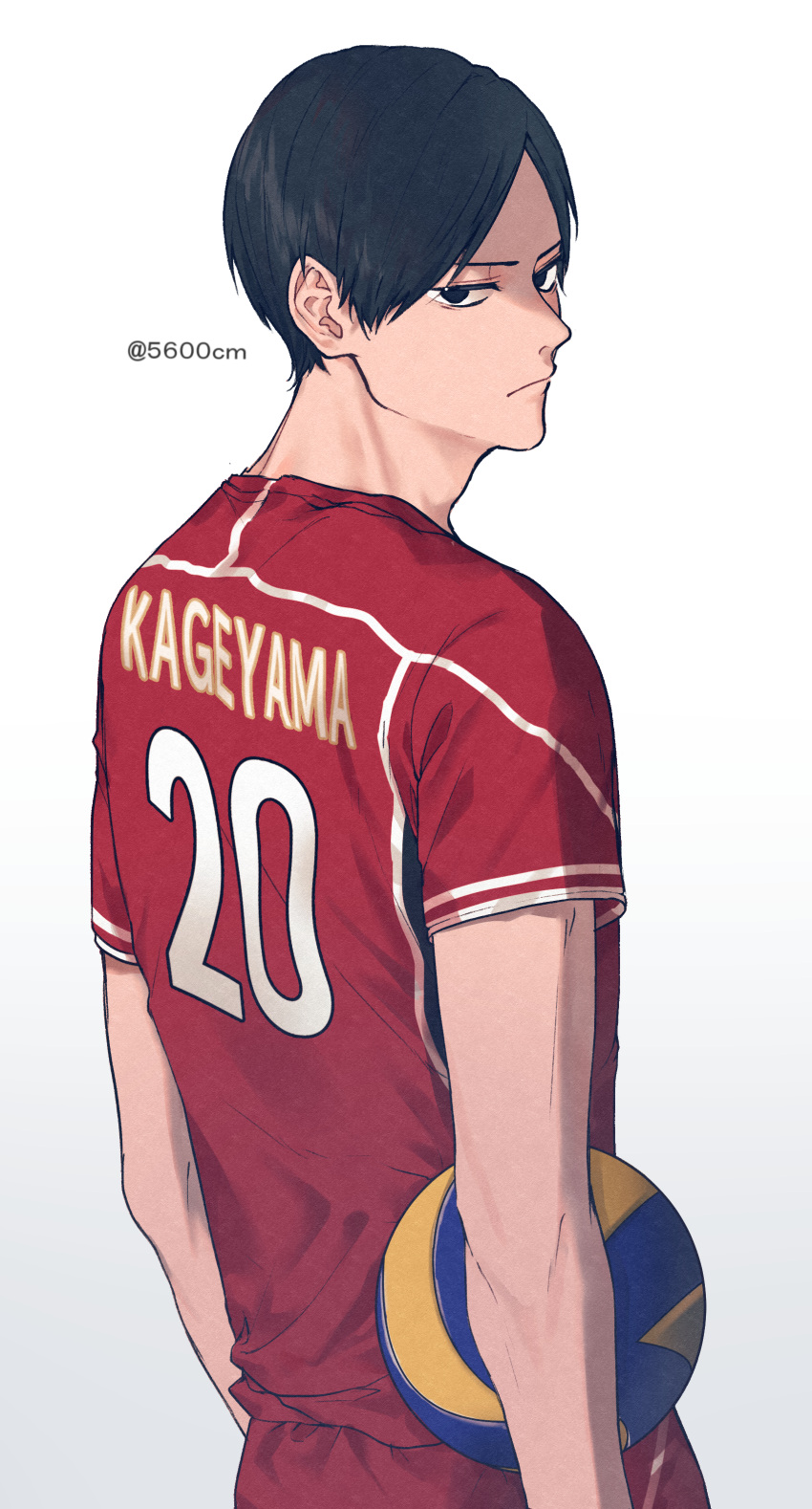 1boy, 5600cm, absurdres, ball, bangs, black_eyes, black_hair, from_behind