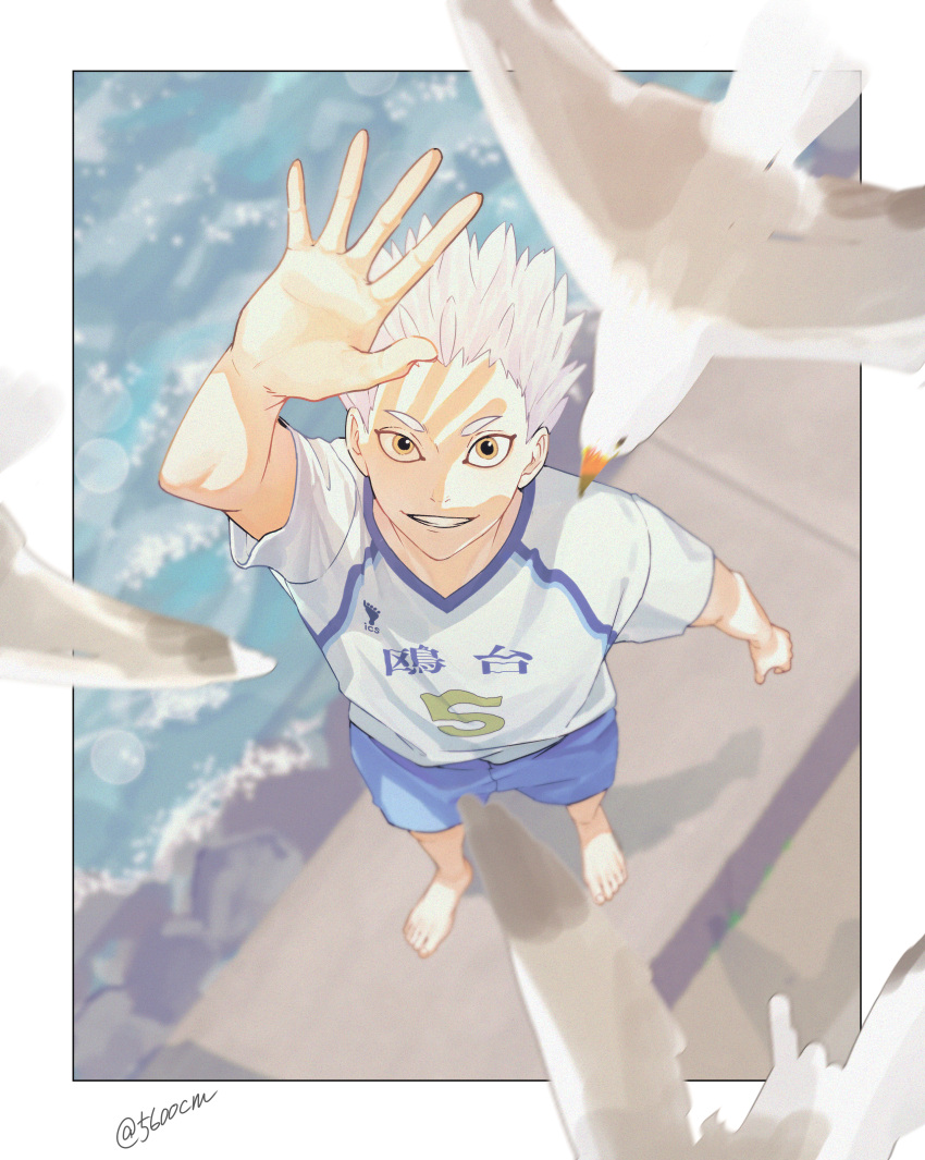 1boy, 5600cm, absurdres, arm_up, barefoot, bird, border, from_above