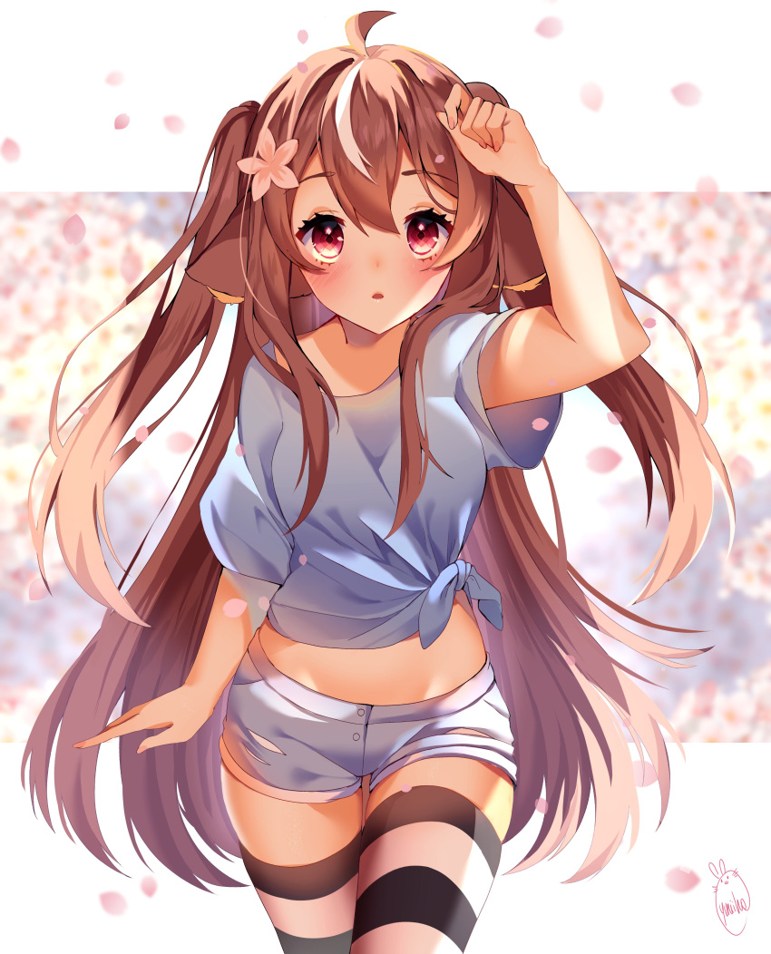 1girl, :o, absurdres, ahoge, animal_ears, arm_up, blue_shirt, brown_hair, cowboy_shot, crop_top, fiji_(vtuber), floppy_ears, flower, hair_flower, hair_ornament, highres, indie_virtual_youtuber, long_hair, looking_at_viewer, midriff, multicolored_hair, parted_lips, petals, red_eyes, shirt, short_shorts, short_sleeves, shorts, side-tie_shirt, solo, standing, stomach, streaked_hair, striped, striped_legwear, thigh-highs, thighs, two_side_up, very_long_hair, virtual_youtuber, white_shorts, yuniiho