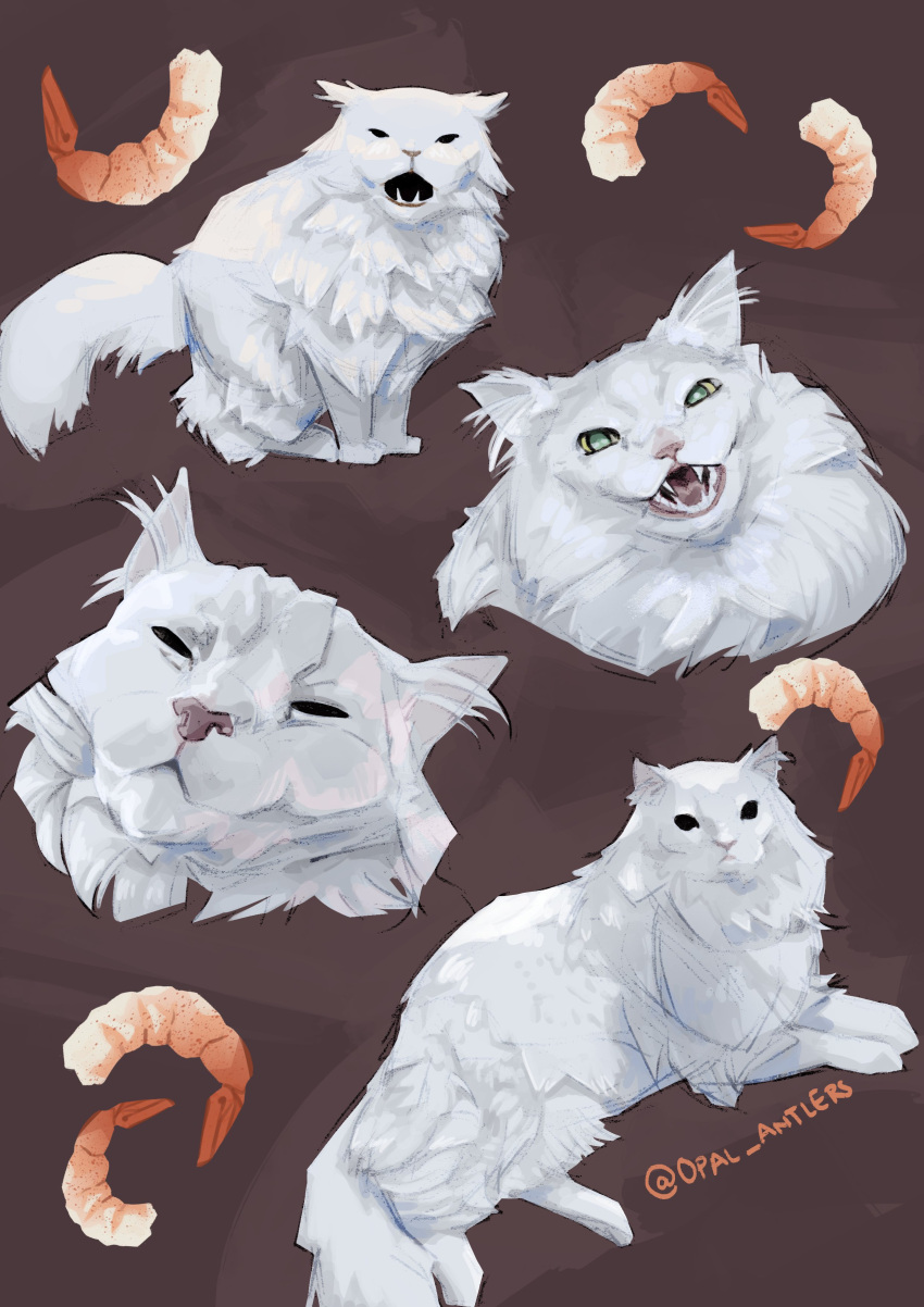 absurdres, animal, animal_ears, animal_focus, animal_nose, aqua_eyes, artist_name, black_eyes, body_fur, brown_background, cat, cat_ears, cat_tail, character_sheet, closed_mouth, colored_sclera, commentary, english_commentary, fangs, green_sclera, highres, looking_at_viewer, multiple_views, no_humans, opal_antlers, open_mouth, real_life, signature, simple_background, tail, thurston_waffles, twitter_username, white_fur