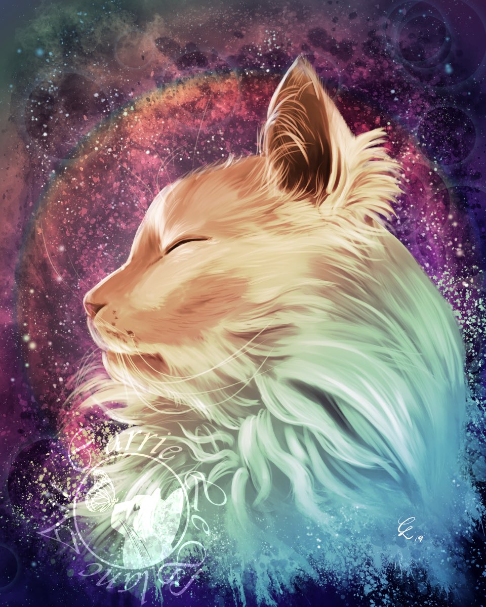 animal, animal_ears, animal_focus, artist_name, body_fur, bug, butterfly, carrie_leblanc, cat, cat_ears, closed_eyes, commentary, dated, english_commentary, face, facing_away, from_side, highres, insect, light_particles, night, night_sky, no_humans, profile, rainbow, real_life, signature, sky, space, star_(sky), starry_background, thurston_waffles, white_fur