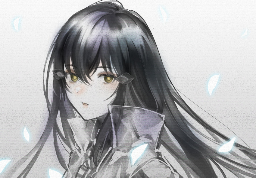 1girl, bangs, black_hair, dm_owr, epiphyllum, expressionless, from_side, girls_frontline, hair_between_eyes, hair_ornament, highres, jacket, long_hair, looking_at_viewer, nyto_iso_(girls_frontline), paradeus, petals, see-through, solo, yellow_eyes