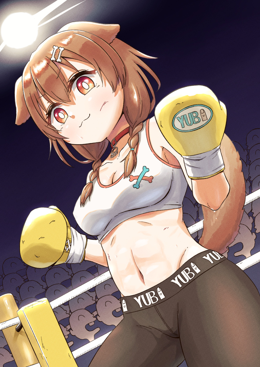 1girl, :3, abs, animal_collar, animal_ears, bangs, bike_shorts, black_shorts