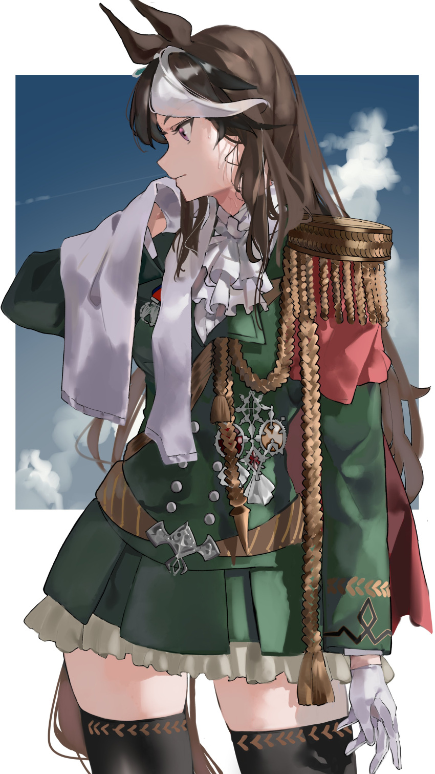 1girl, absurdres, animal_ears, ascot, black_legwear, blue_sky, blush, brown_hair