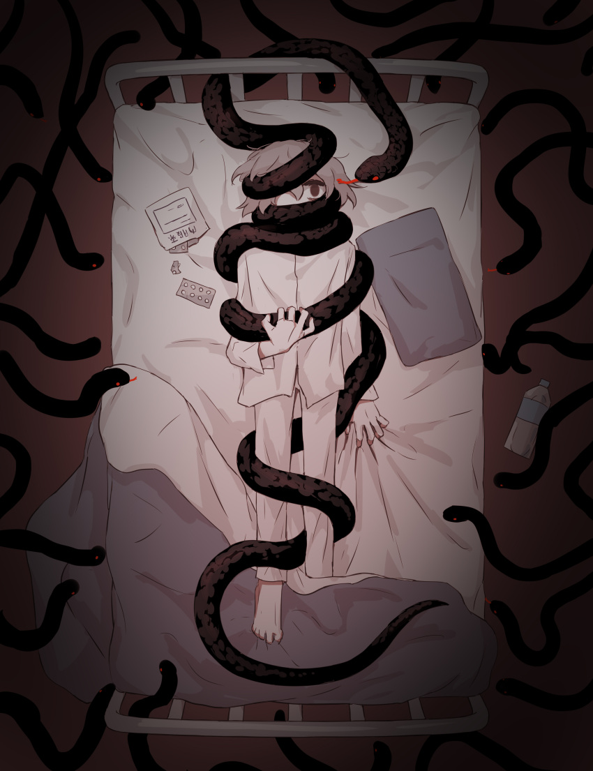 1boy, absurdres, avogado6, bed, black_eyes, black_snake, bottle, commentary_request