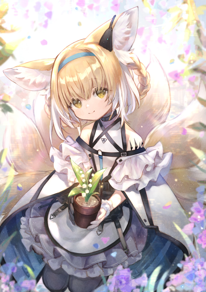 1girl, animal_ear_fluff, animal_ears, arknights, bare_shoulders, black_collar, black_legwear, blonde_hair